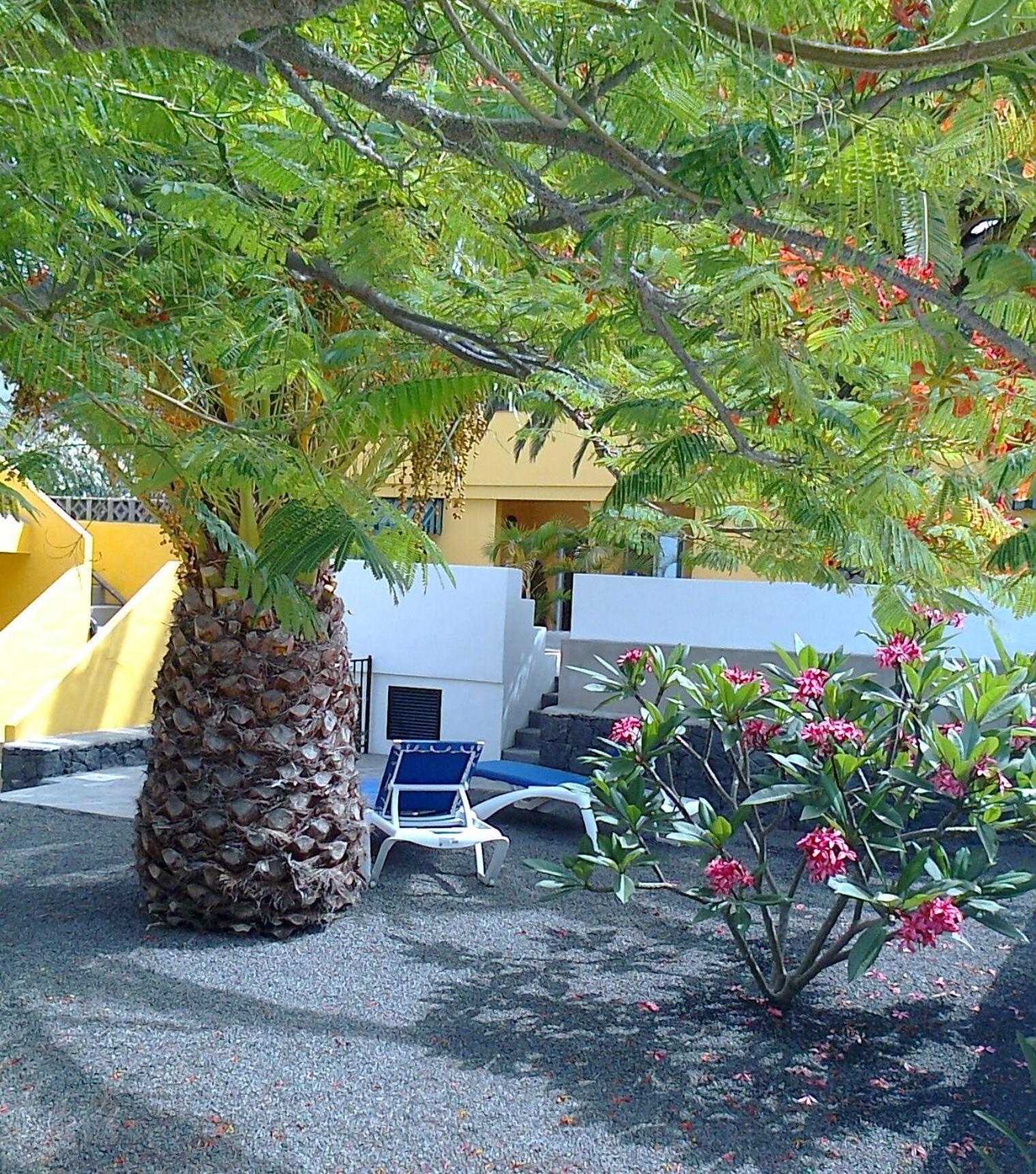 Vv Complejo Vacacional Villamaria 洛斯·亚诺斯·德·阿里丹 外观 照片